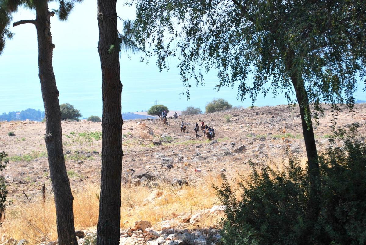 חוות ורד הגליל מלון 4*